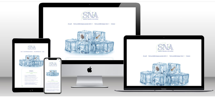 Site internet S.N.A